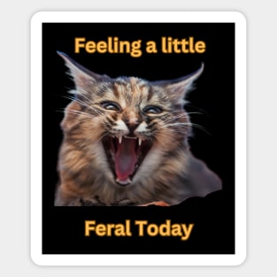 Feeling a little Feral Today Magnet